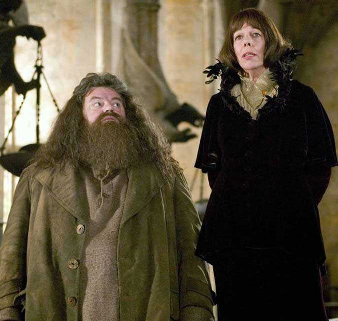  نیمه‌غول‌ها (Half-Giants)