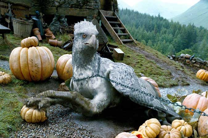 هیپوکریف (Hippogriff)- یک از با شکوه‌ترین موجودات جادویی