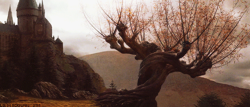 The Whomping Willow (درخت کتکزن)