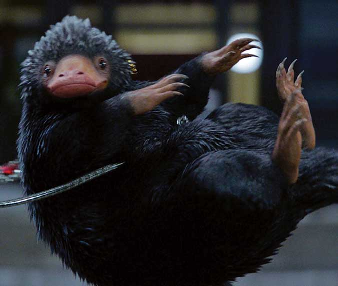 نیفلر (Niffler) - بامزه ترین بین موجودات جادویی