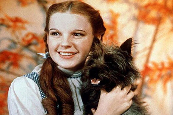 سریال جدید «Dorothy» با محوریت دنیای جادوگر شهر از در پرایم ویدئو ساخته می‌شود